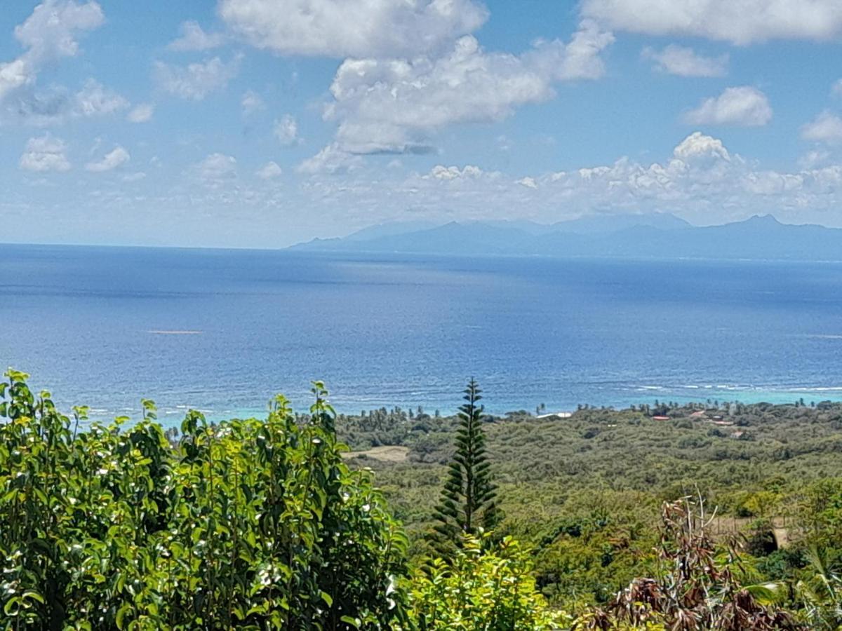 فيلا Domaine Des Tourterelles Capesterre المظهر الخارجي الصورة